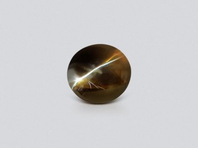 Cat's eye chrysoberyl in cabochon cut 4.29 carats, Sri Lanka photo