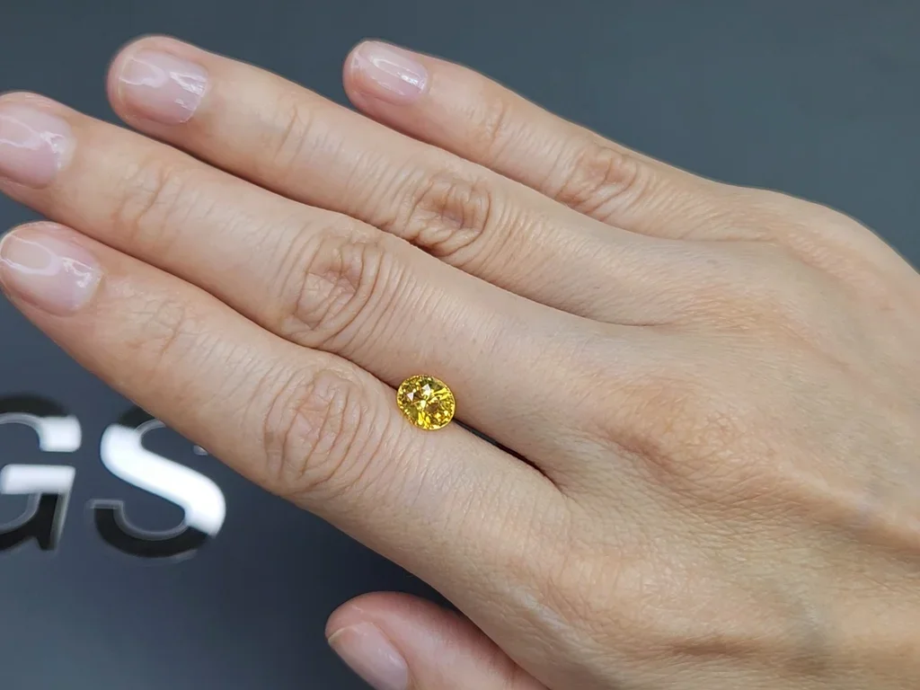 Golden color yellow sapphire in oval cut 1.52 carats, Sri Lanka  Image №2
