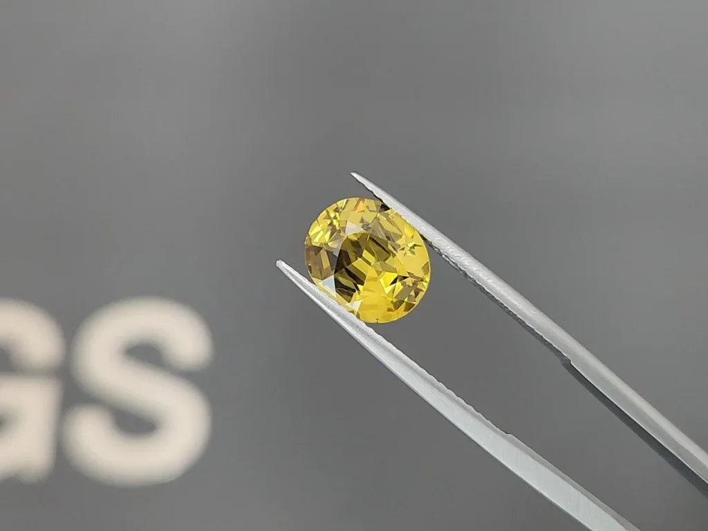 Mali garnet oval cut 2.87 carats, Africa Image №3