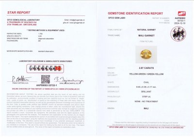 Certificate Mali garnet oval cut 2.87 carats, Africa