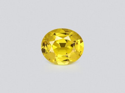 Mali garnet oval cut 2.87 carats, Africa photo