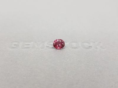 Rhodolite garnet, oval cut, 0.84 carats, Sri Lanka photo