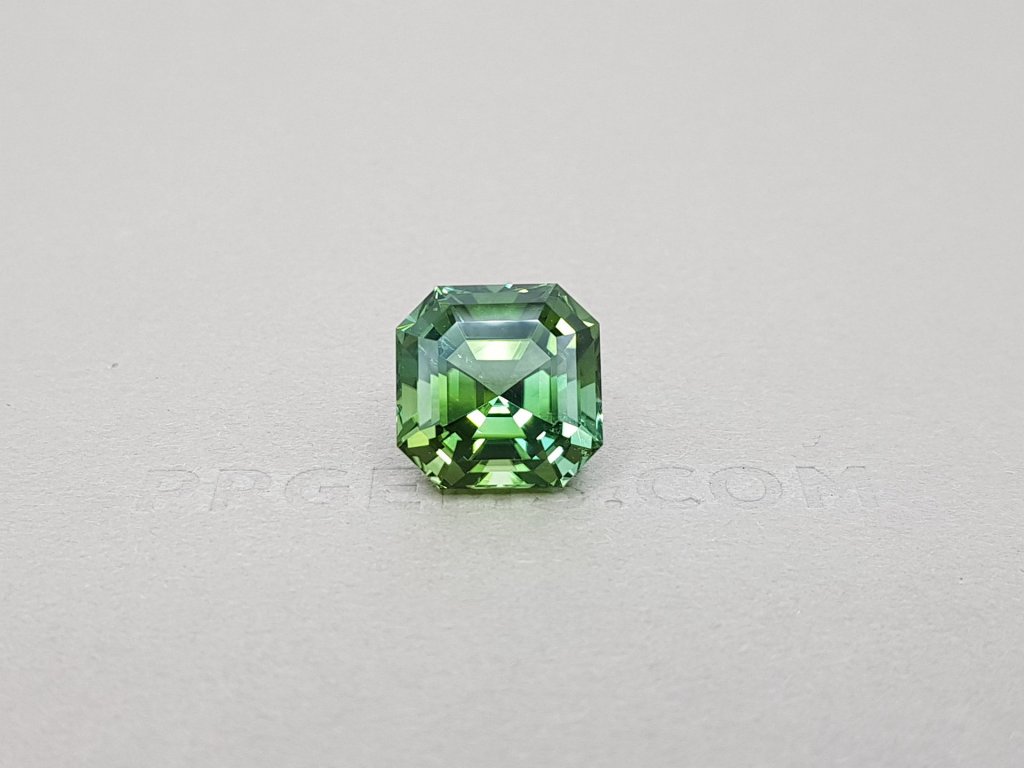 Octagon cut verdelite 7.72 ct Image №1
