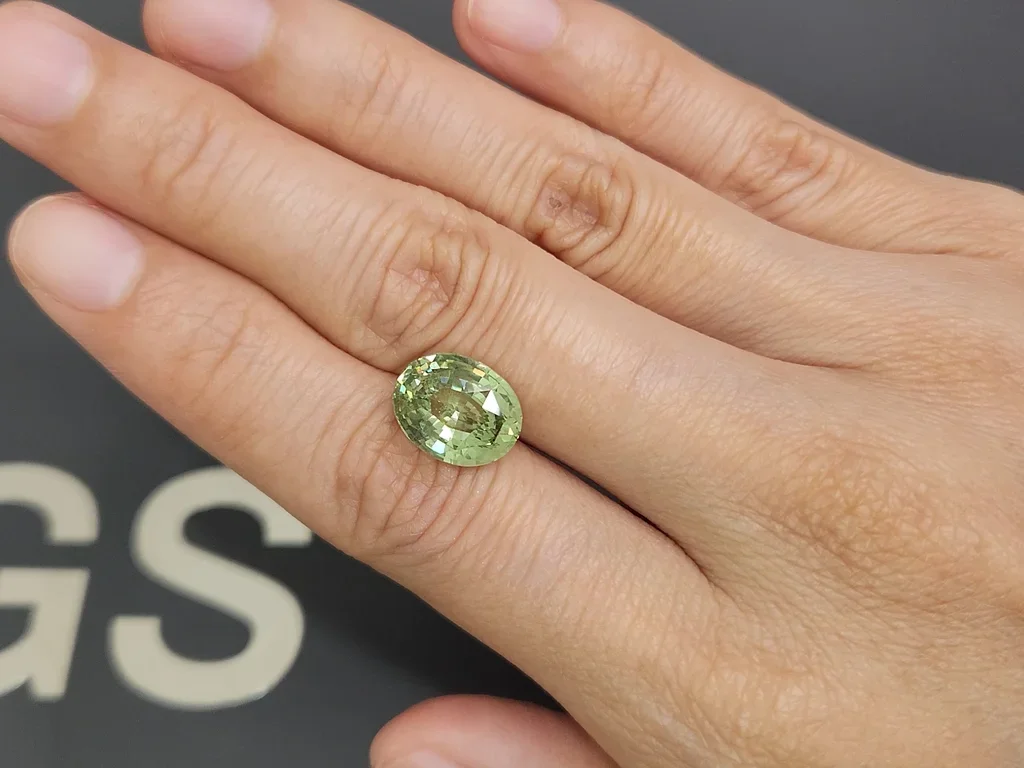 Grossular garnet in oval cut 5.71 carats, Tanzania Image №2