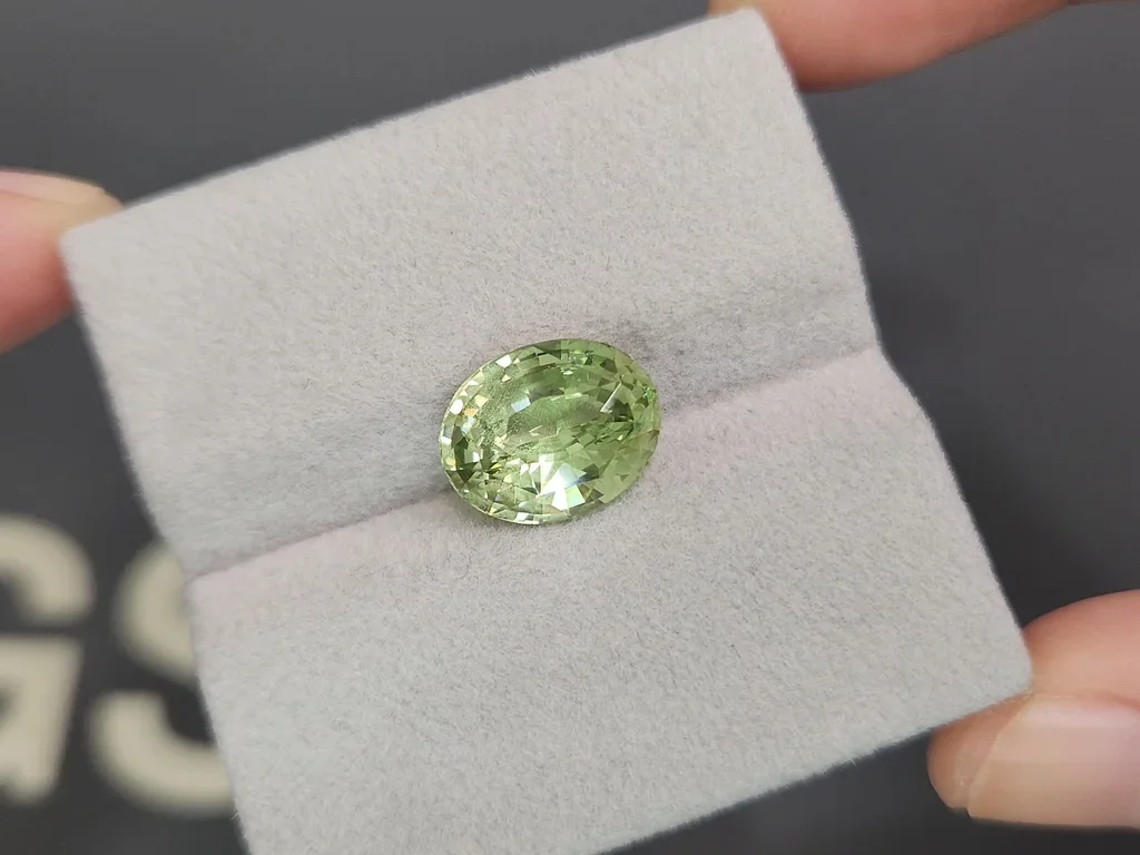 Grossular garnet in oval cut 5.71 carats, Tanzania Image №4