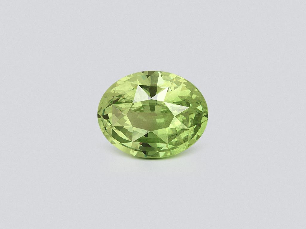 Grossular garnet in oval cut 5.71 carats, Tanzania Image №1