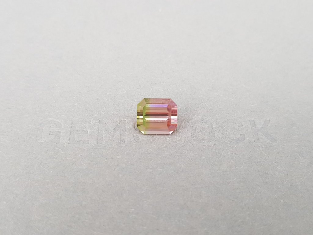 Bi-color pink-green tourmaline 3.84 ct, Nigeria Image №1