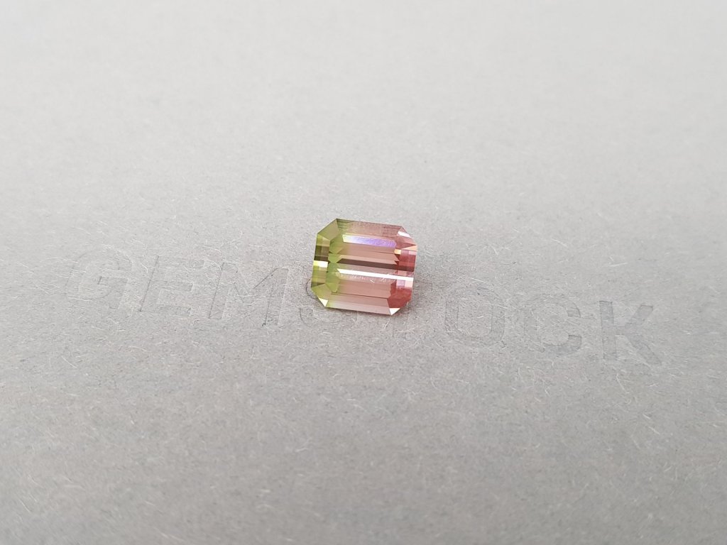 Bi-color pink-green tourmaline 3.84 ct, Nigeria Image №2