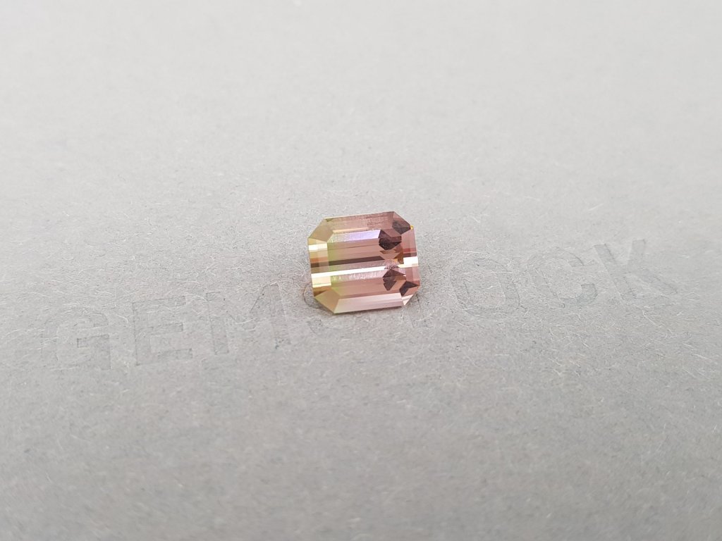 Bi-color pink-green tourmaline 3.84 ct, Nigeria Image №3