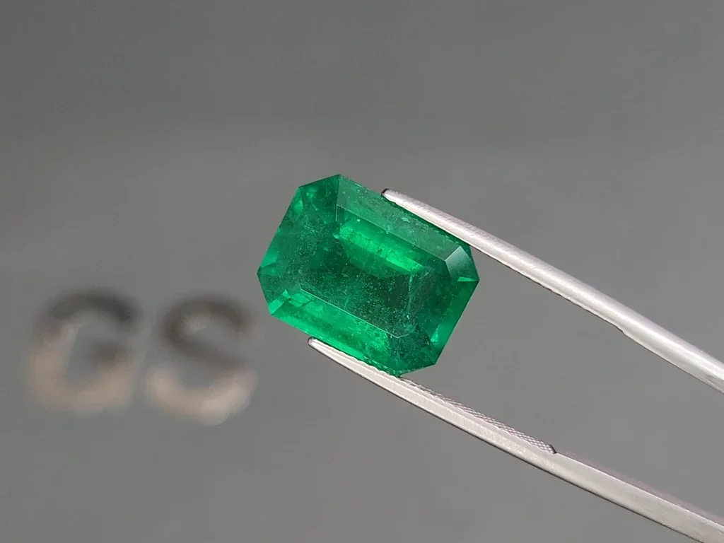 Emerald Vivid Green octagon cut 9,91 carats, Zambia Image №3