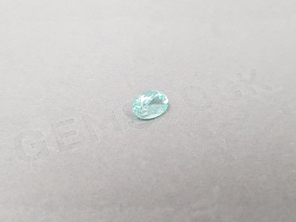 Paraiba tourmaline in oval cut 0.77 ct, Mozambique Image №3