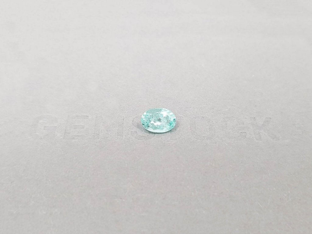 Paraiba tourmaline in oval cut 0.77 ct, Mozambique Image №2