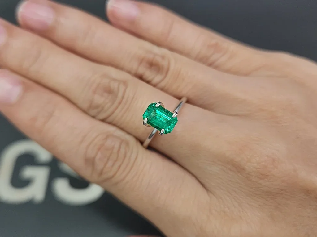 Emerald Intense Green octagon cut 1.25 carats, Panjshir Image №5