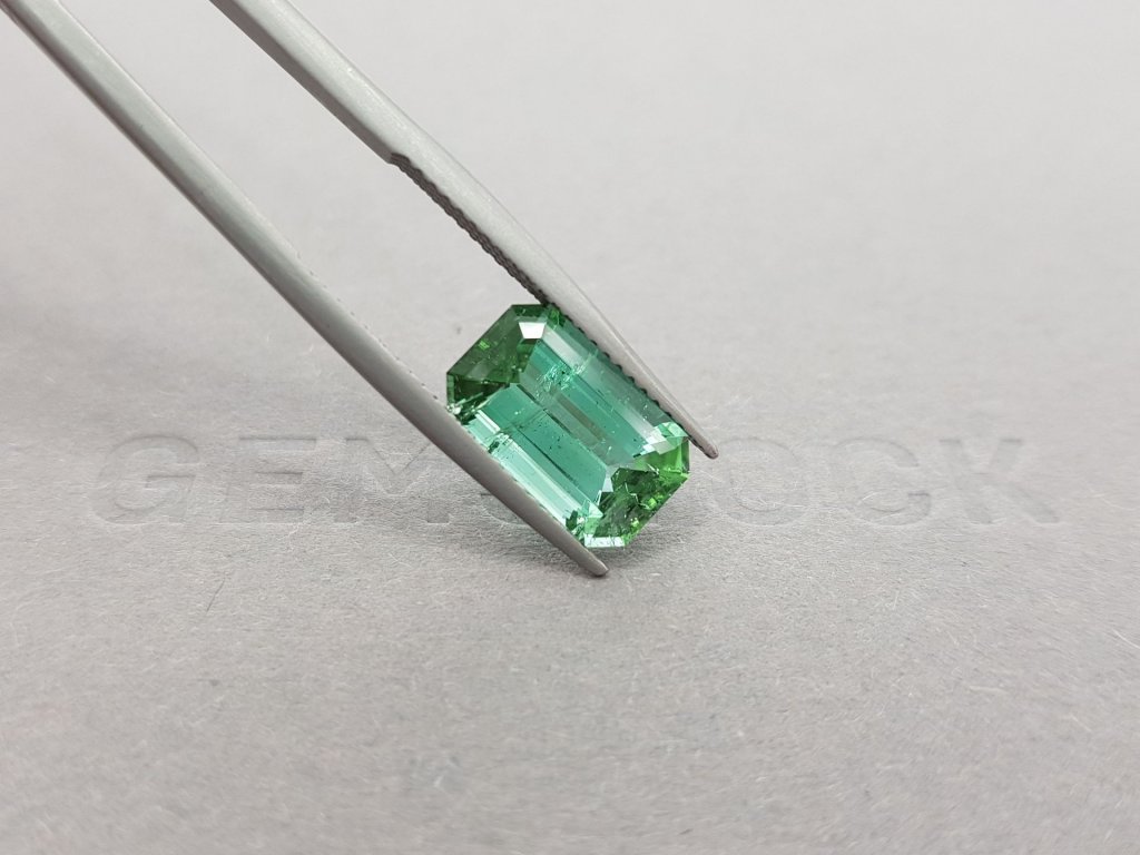 Lagoon green tourmaline 4.10 ct, Afghanistan Image №5