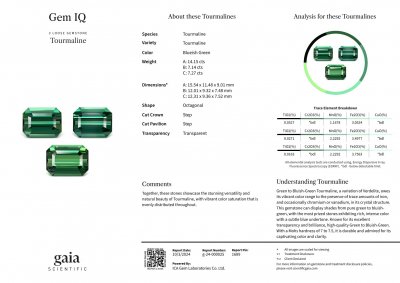 Certificate Set of vivid green octagon cut tourmalines 28.56 carats, Afghanistan 