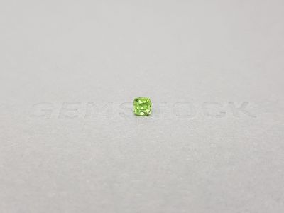 Cushion cut tsavorite garnet 0.38 ct, Africa photo
