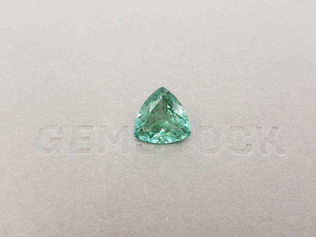 Blue tourmaline, trillion 3.83ct cut, ICA Image №1