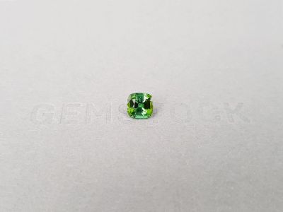 Vivid green cushion cut tourmaline 0.94 ct, Africa photo