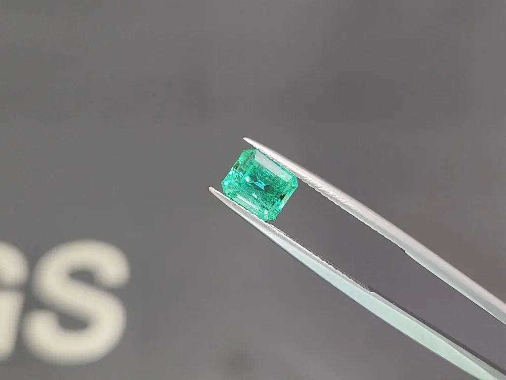 Emerald Intense green Panjshir in octagon cut 1.56 carats  Image №3