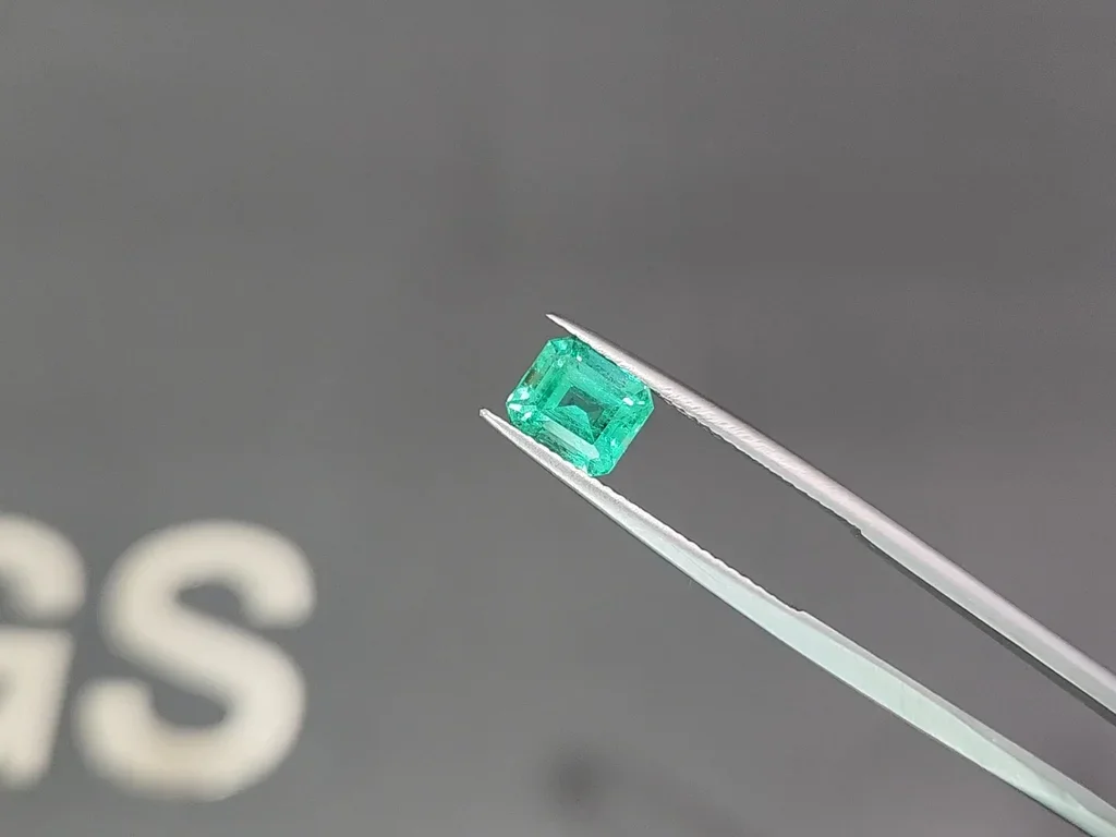 Emerald Intense green Panjshir in octagon cut 1.56 carats  Image №3