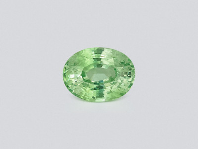 Grossular garnet oval cut  4.51 carats, Tanzania photo