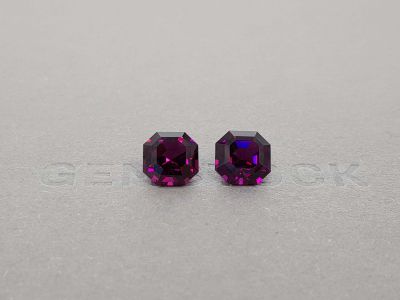 Pair of octagon cut umbalites 7.10 ct, Malawi photo