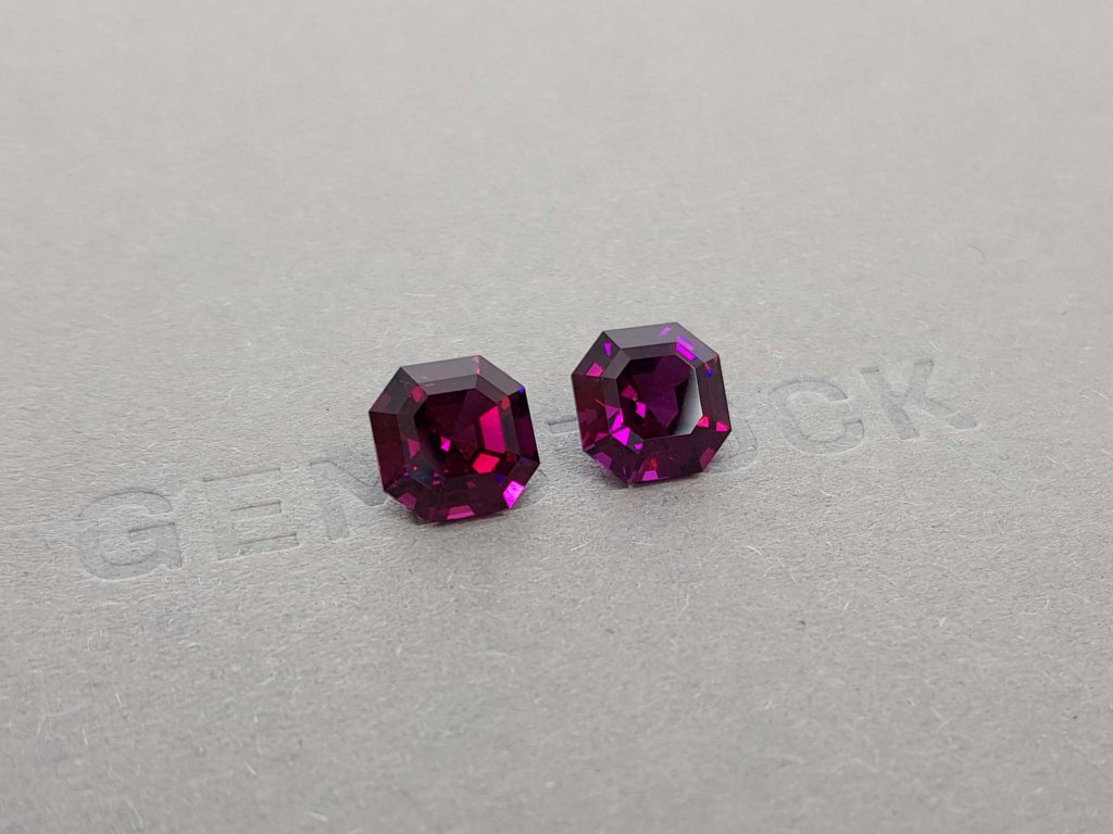 Pair of octagon cut umbalites 7.10 ct, Malawi Image №3