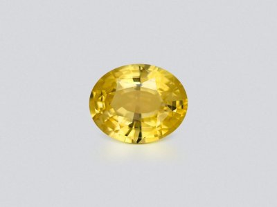 Vivid yellow sapphire in oval cut 1.56 carats, Sri Lanka  photo