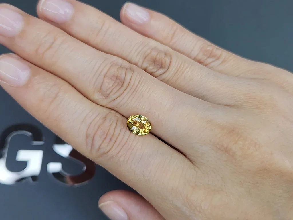 Vivid yellow sapphire in oval cut 1.56 carats, Sri Lanka  Image №2