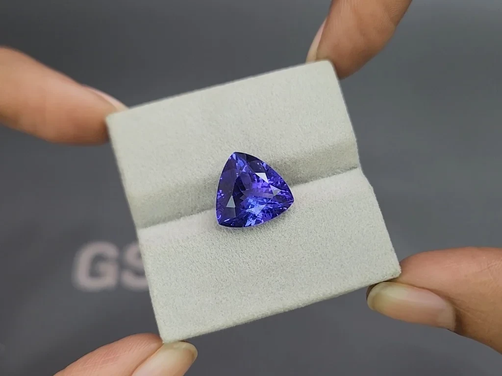 Tanzanite trillion cut 7.89 carats, Tanzania Image №4