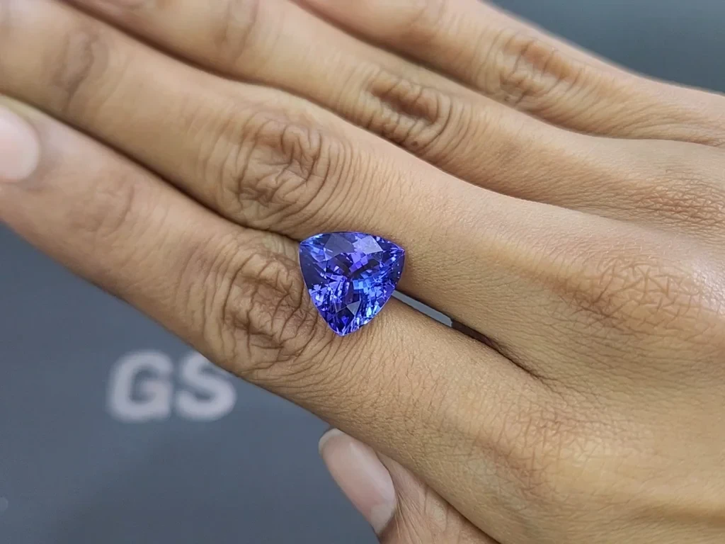 Tanzanite trillion cut 7.89 carats, Tanzania Image №2