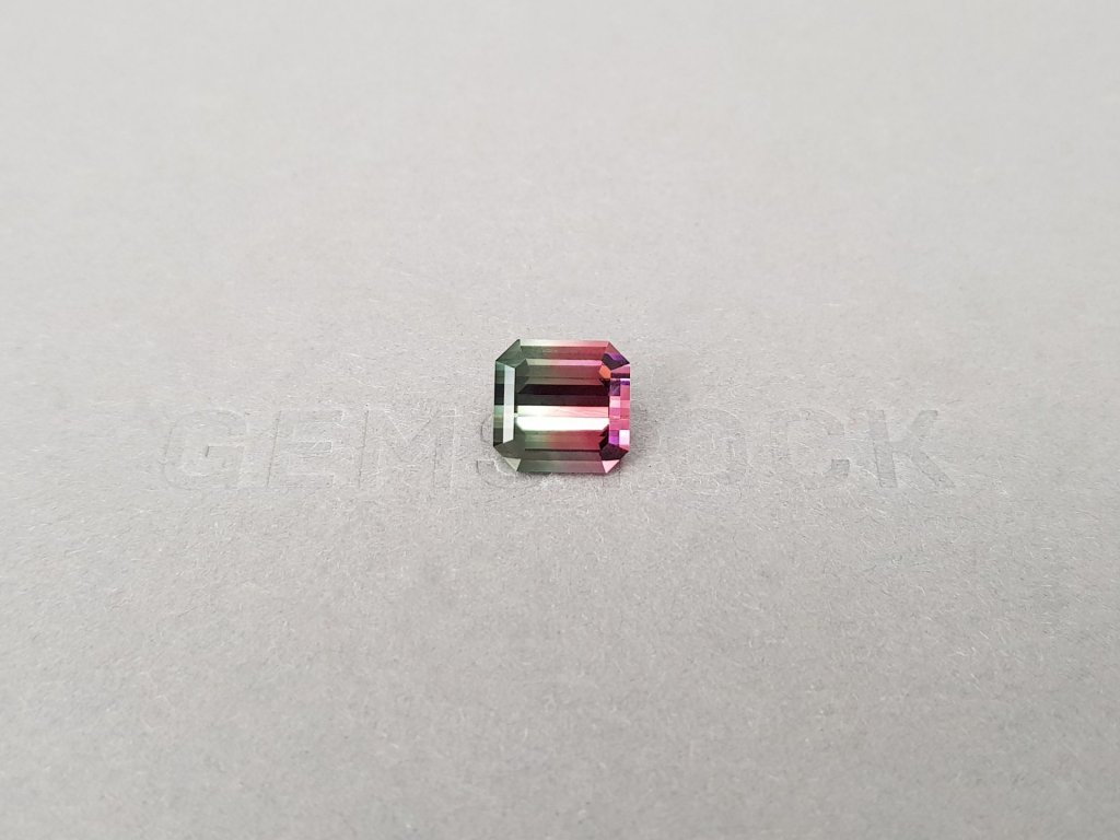 Bi-color pink and green tourmaline 3.23 ct in octagon cut, Congo Image №2