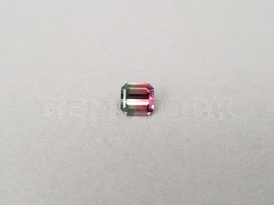 Bi-color pink and green tourmaline 3.23 ct in octagon cut, Congo photo