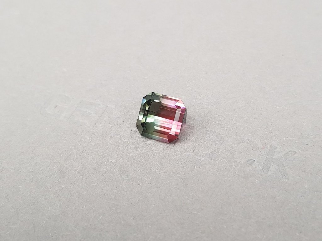 Bi-color pink and green tourmaline 3.23 ct in octagon cut, Congo Image №4