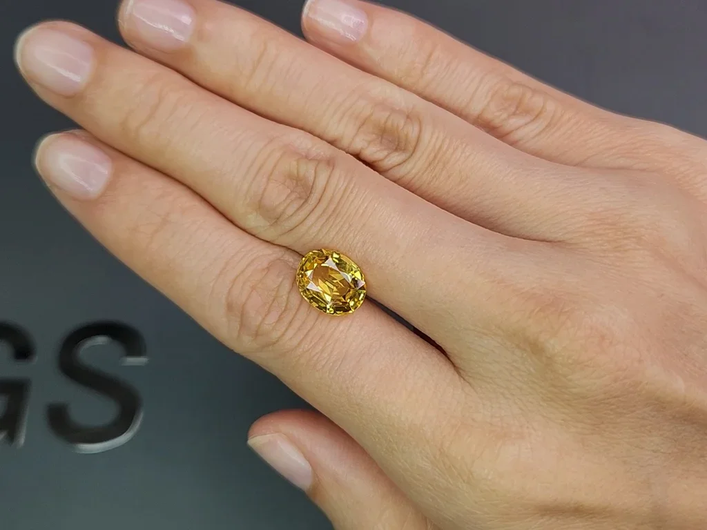 Untreated vivid yellow sapphire in oval cut 4.48 carats, Sri Lanka Image №2