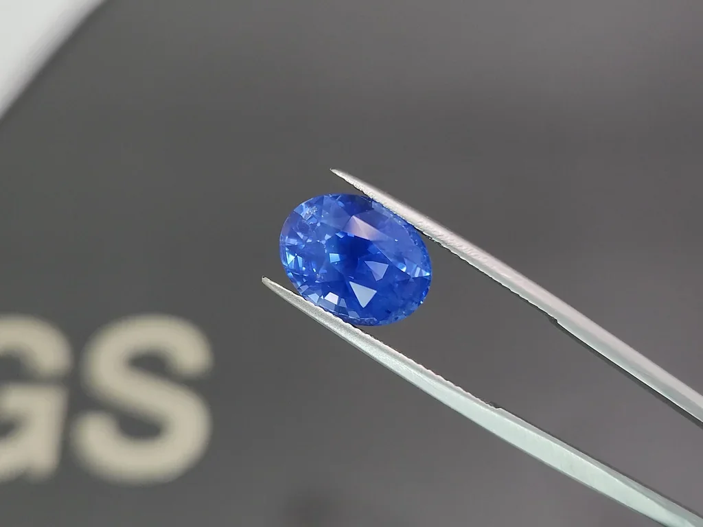 Unique unheated Cornflower Blue sapphire in oval cut 7.24 carats, Sri Lanka Image №3