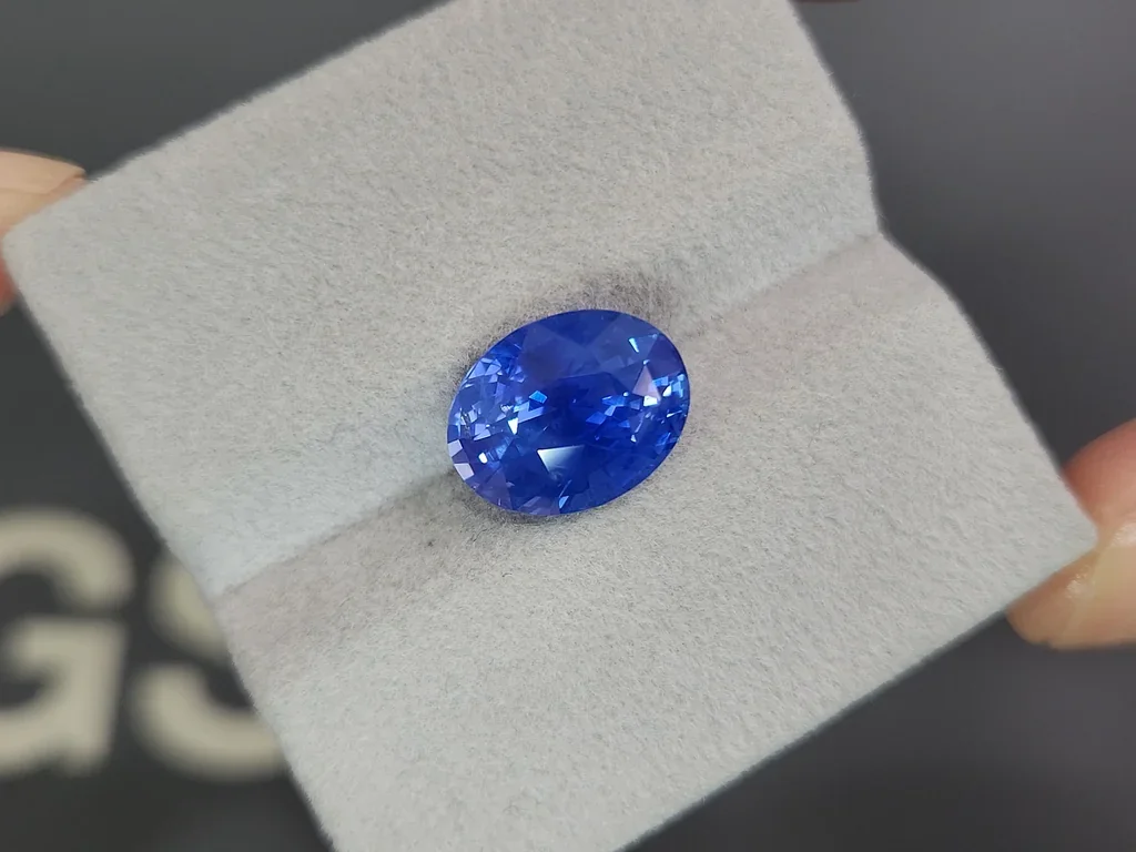 Unique unheated Cornflower Blue sapphire in oval cut 7.24 carats, Sri Lanka Image №4