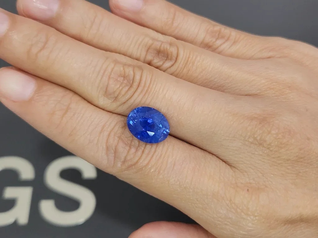 Unique unheated Cornflower Blue sapphire in oval cut 7.24 carats, Sri Lanka Image №2