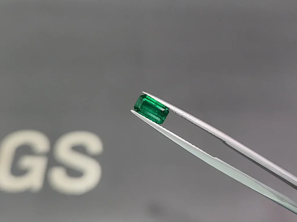 Vivid green emerald in octagon cut 0.98 carats, Panjshir Image №3