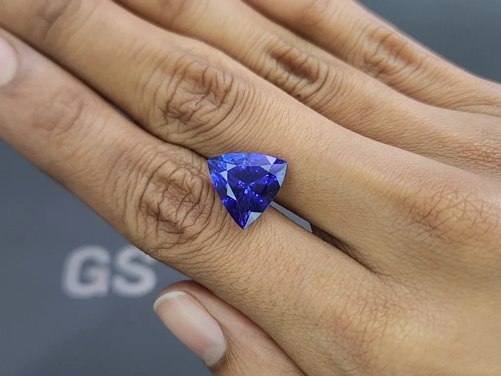 Tanzanite trillion cut 7.87 carats, Tanzania Image №2