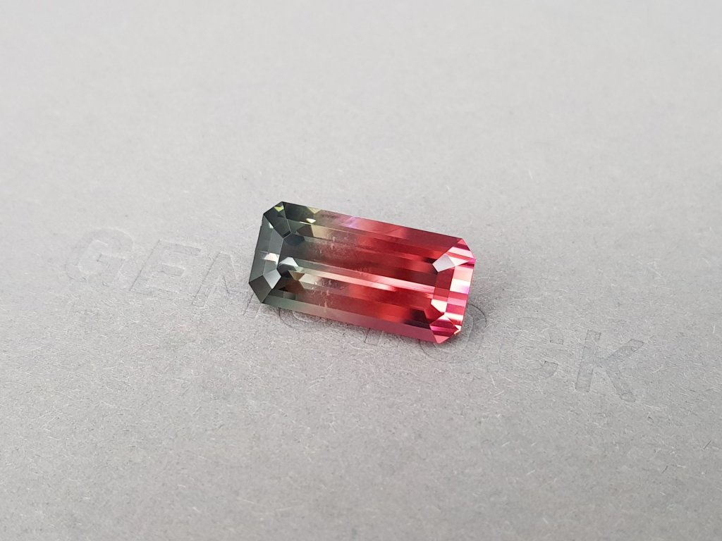 Polychrome vivid pink and gray tourmaline 9.45 ct in octagon cut, Congo Image №3