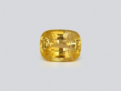 Large unheated Intense yellow sapphire in cushion cut 13.36 carats, Sri Lanka photo