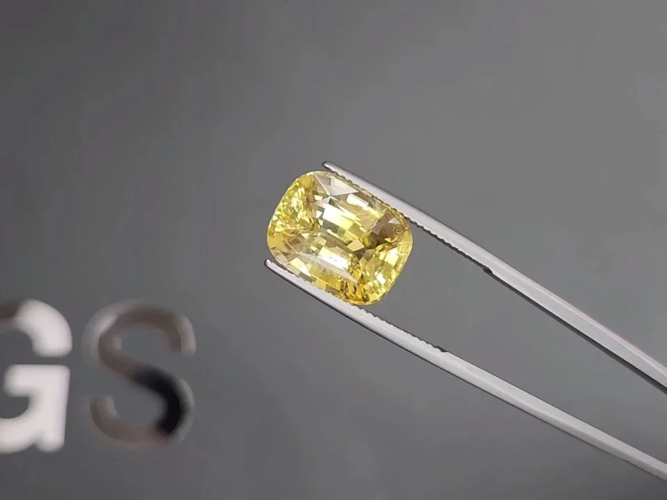 Large unheated Intense yellow sapphire in cushion cut 13.36 carats, Sri Lanka Image №3