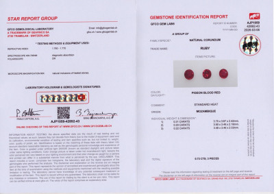 Certificate Set of rubies Pigeon Blood Red round cut 0.73 carats, Mozambique