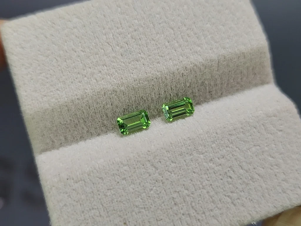 Pair of tsavorite garnets octagon cut 0.6 carats, Tanzania Image №4