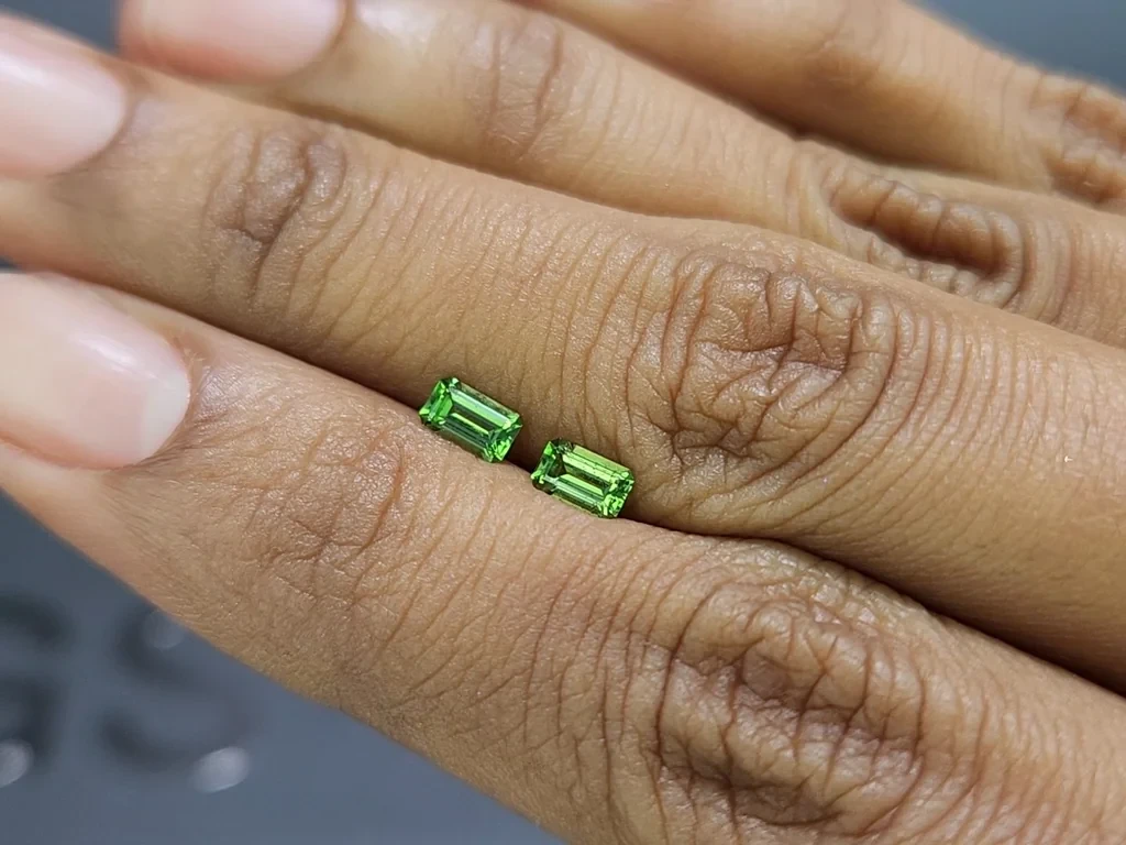 Pair of tsavorite garnets octagon cut 0.6 carats, Tanzania Image №2