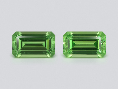 Pair of tsavorite garnets octagon cut 0.6 carats, Tanzania photo