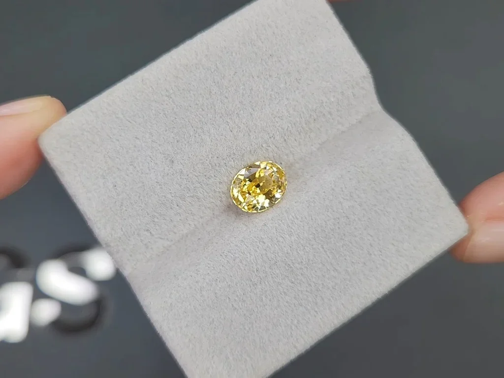 Vivid yellow sapphire in oval cut 1.60 carats, Sri Lanka  Image №4
