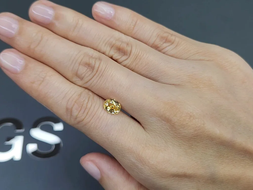 Vivid yellow sapphire in oval cut 1.60 carats, Sri Lanka  Image №2