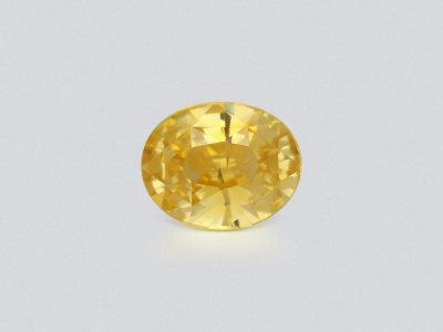 Vivid yellow sapphire in oval cut 1.60 carats, Sri Lanka  photo